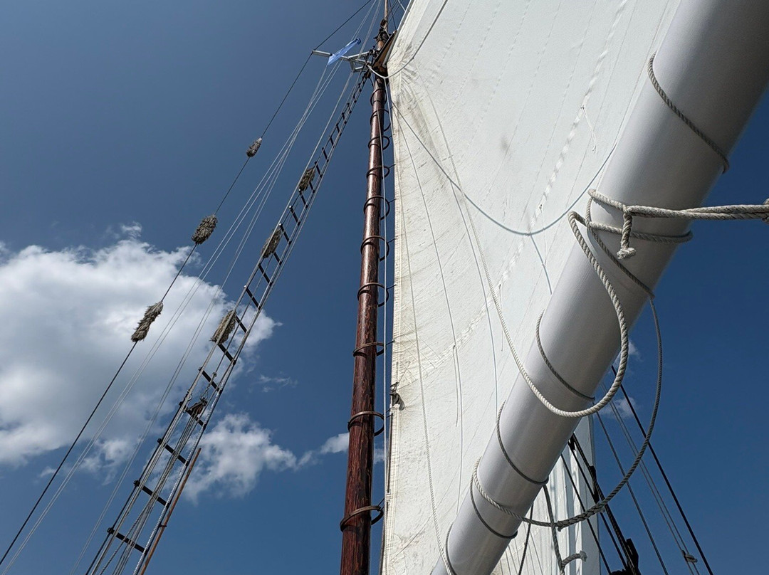 Argia Mystic Cruises-神秘河必去景点