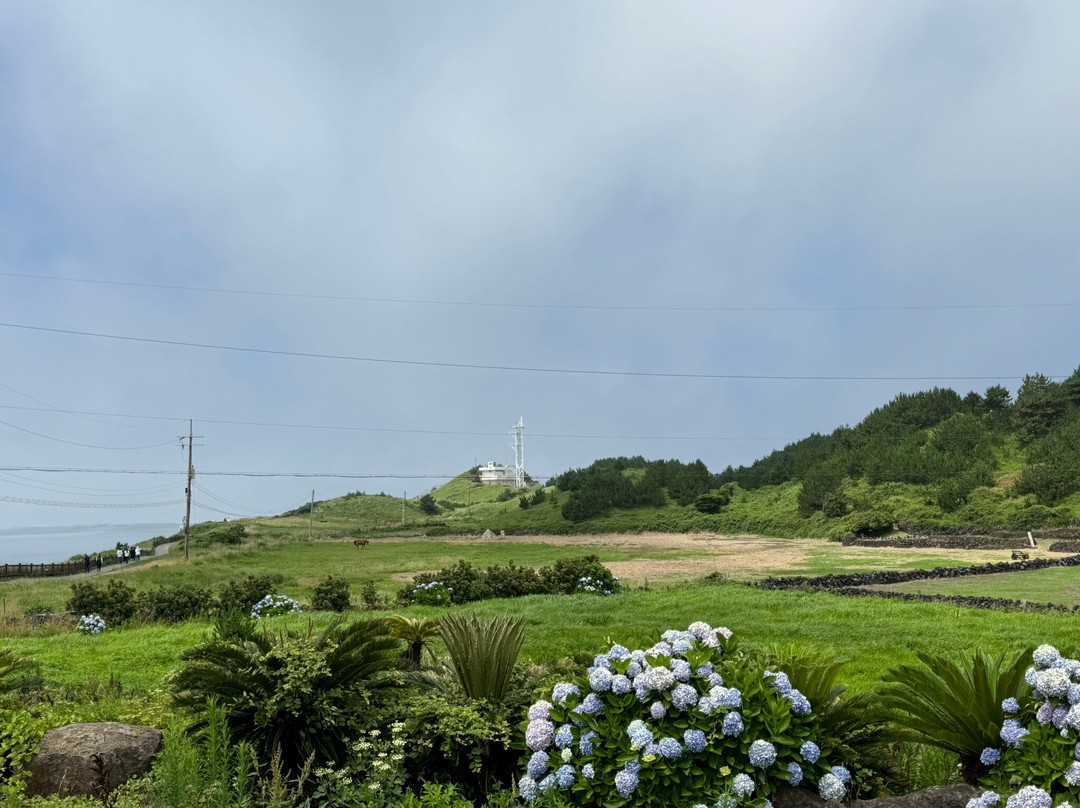 松岳山-西归浦市必去景点