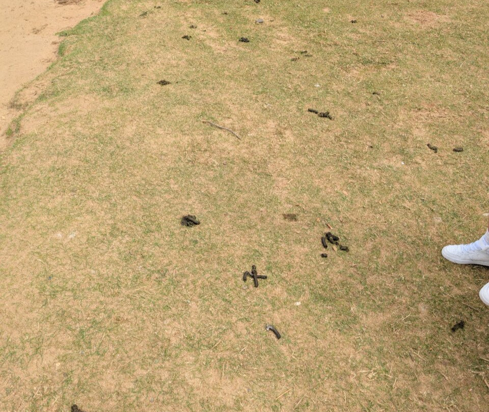 Cotswold Country Park & Beach-Shorncote必去景点