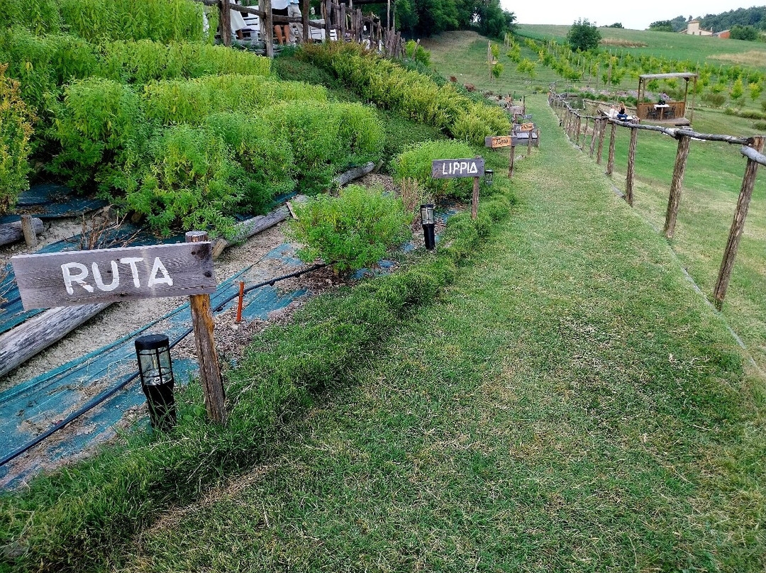 Azienda Agricola Valtresinaro-Viano必去景点