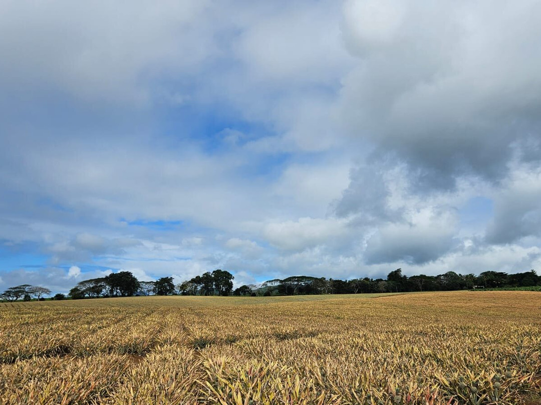 Quad Activities Constance Flacq-Centre de Flacq必去景点