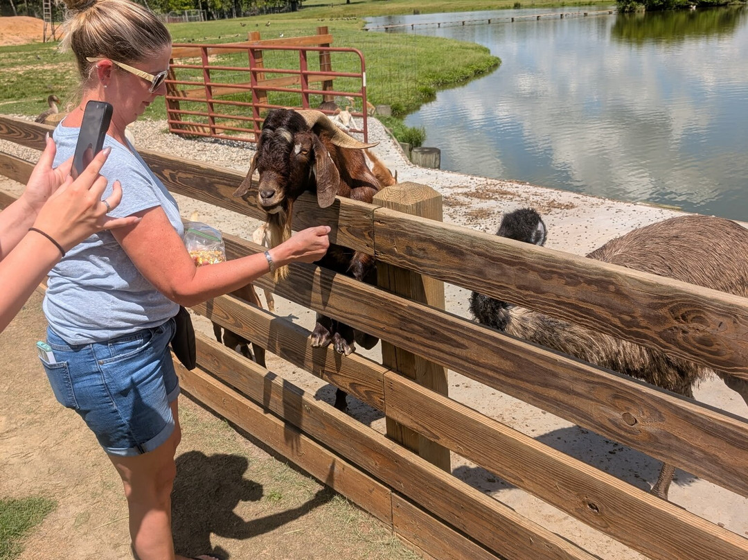 Wild Georgia Safari Park-Metter必去景点