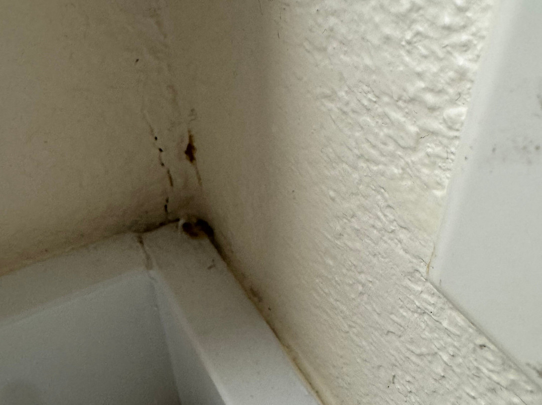 芝加哥欧克布鲁克假日酒店主图