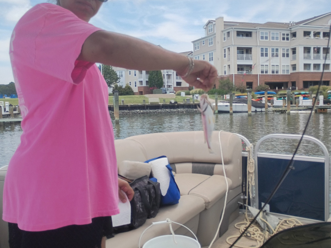 Spring Cove Marina-Solomons必去景点