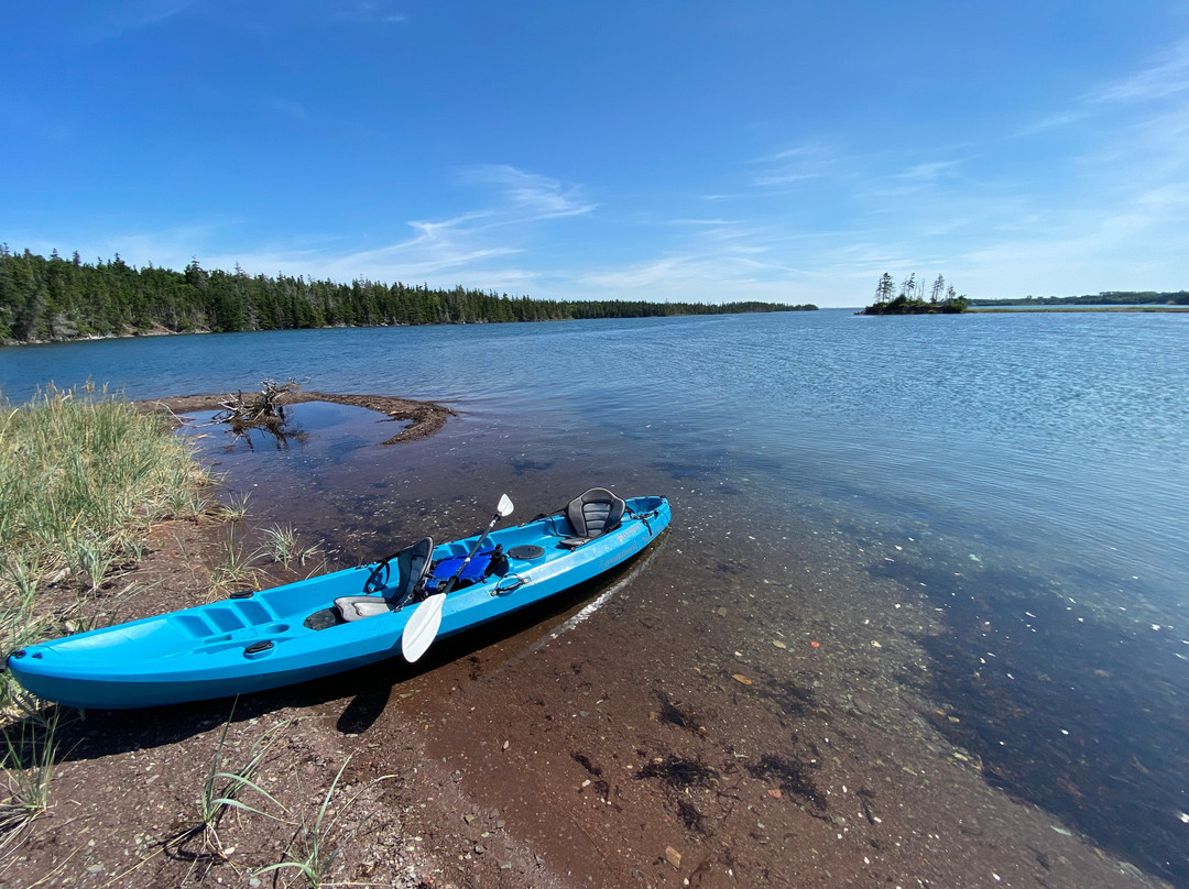 The Groundswell主图