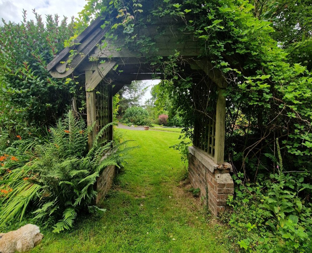 Norwood Gardens & Tea Rooms-Llanllwni必去景点