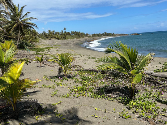 Unique Quality Tours-圣胡安必去景点