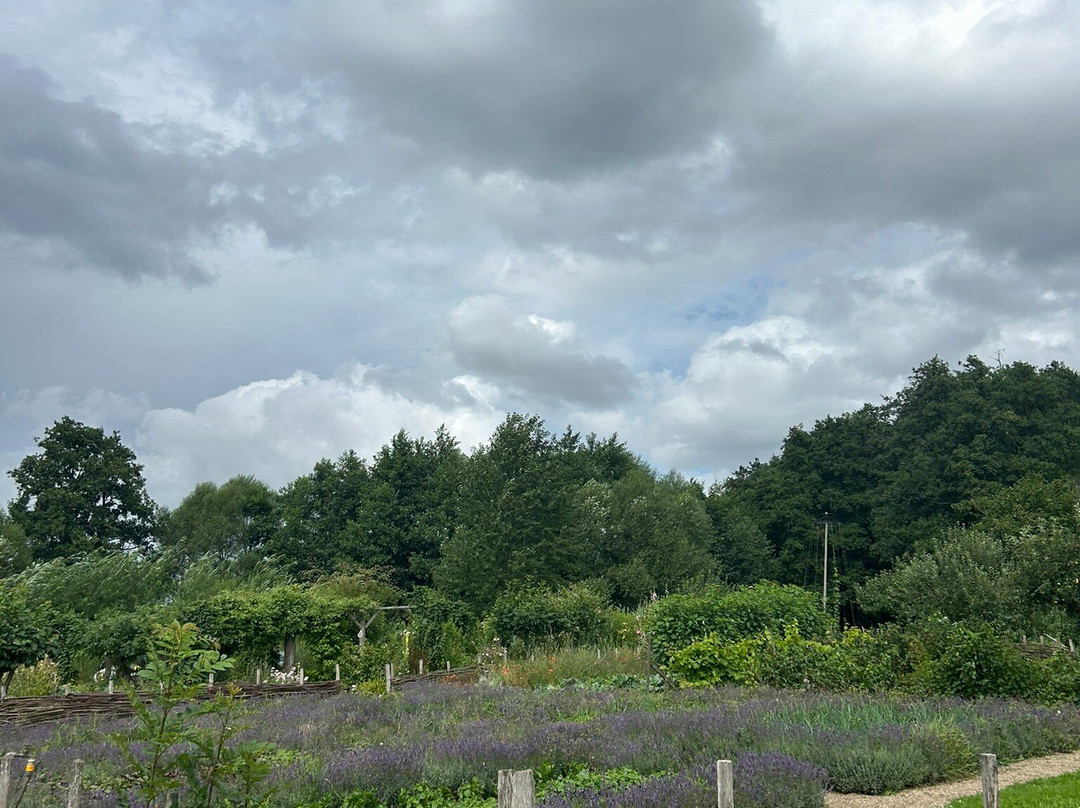 Tadre Molle-Hvalsoe必去景点