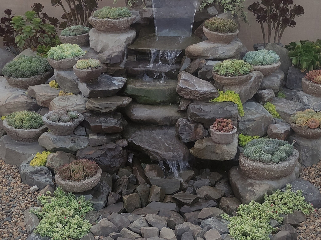 Greenhouse of Exotic Plants-Lazarevskoye必去景点