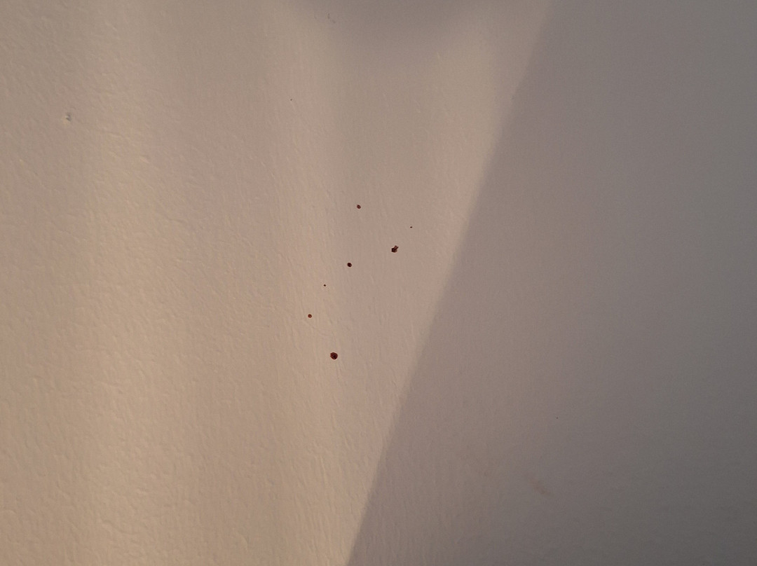 Thermenhof Lutzmannsburg主图