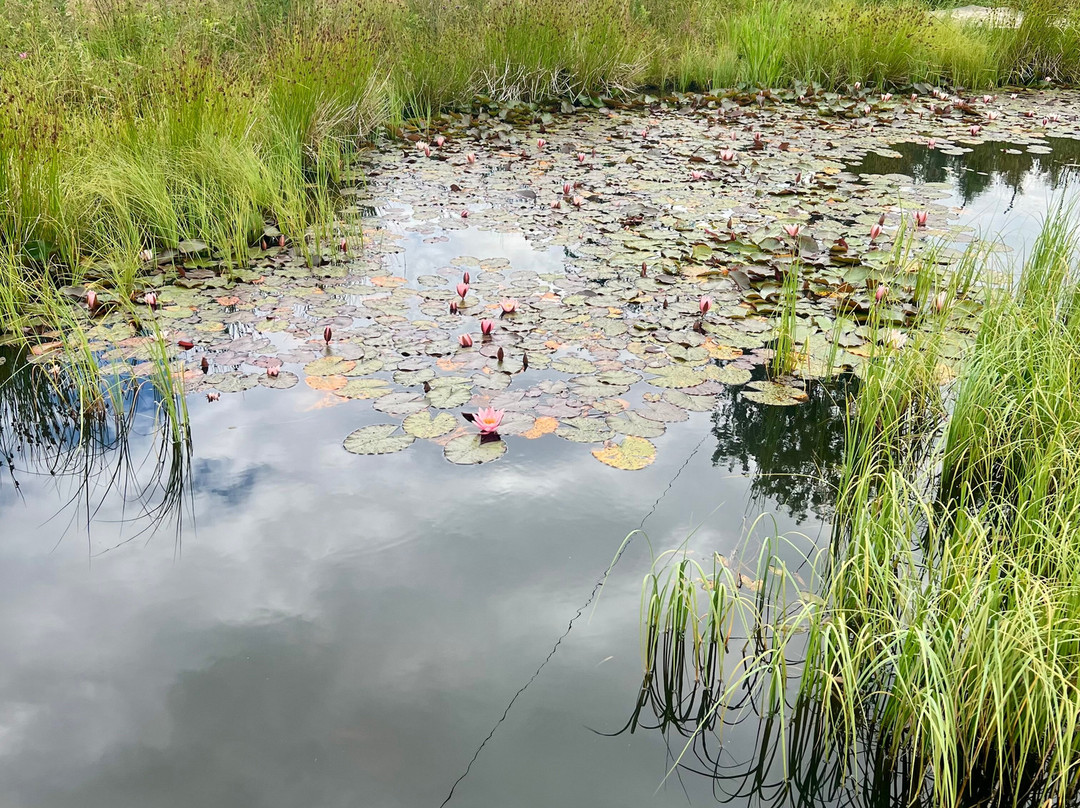 Dyreparken-克里斯蒂安桑必去景点