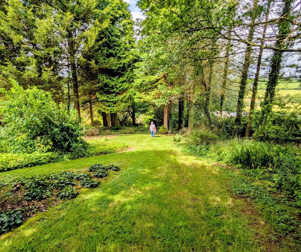 Cae Hir Gardens-Cribyn必去景点