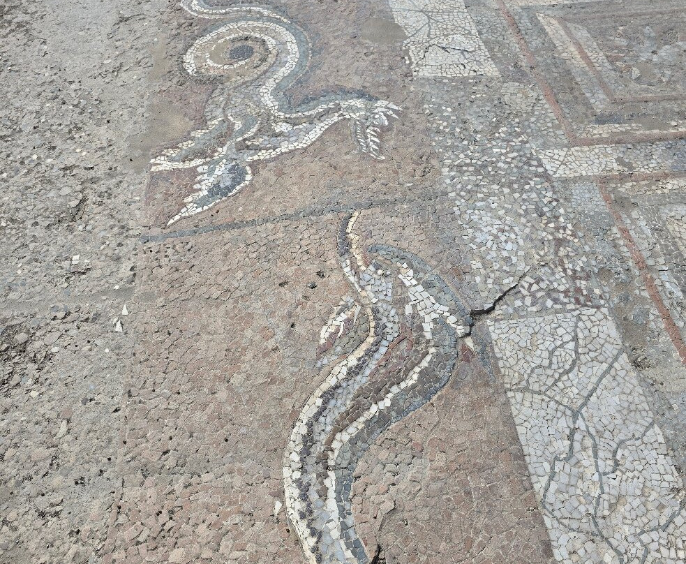 MAK - Museo Archeologico e Parco Archeologico dell'antica Kaulonia-Monasterace Marina必去景点