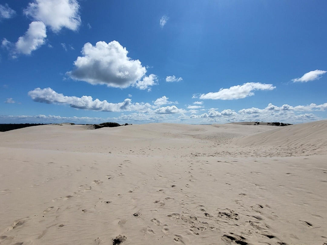 Råbjerg Mile-斯卡恩必去景点