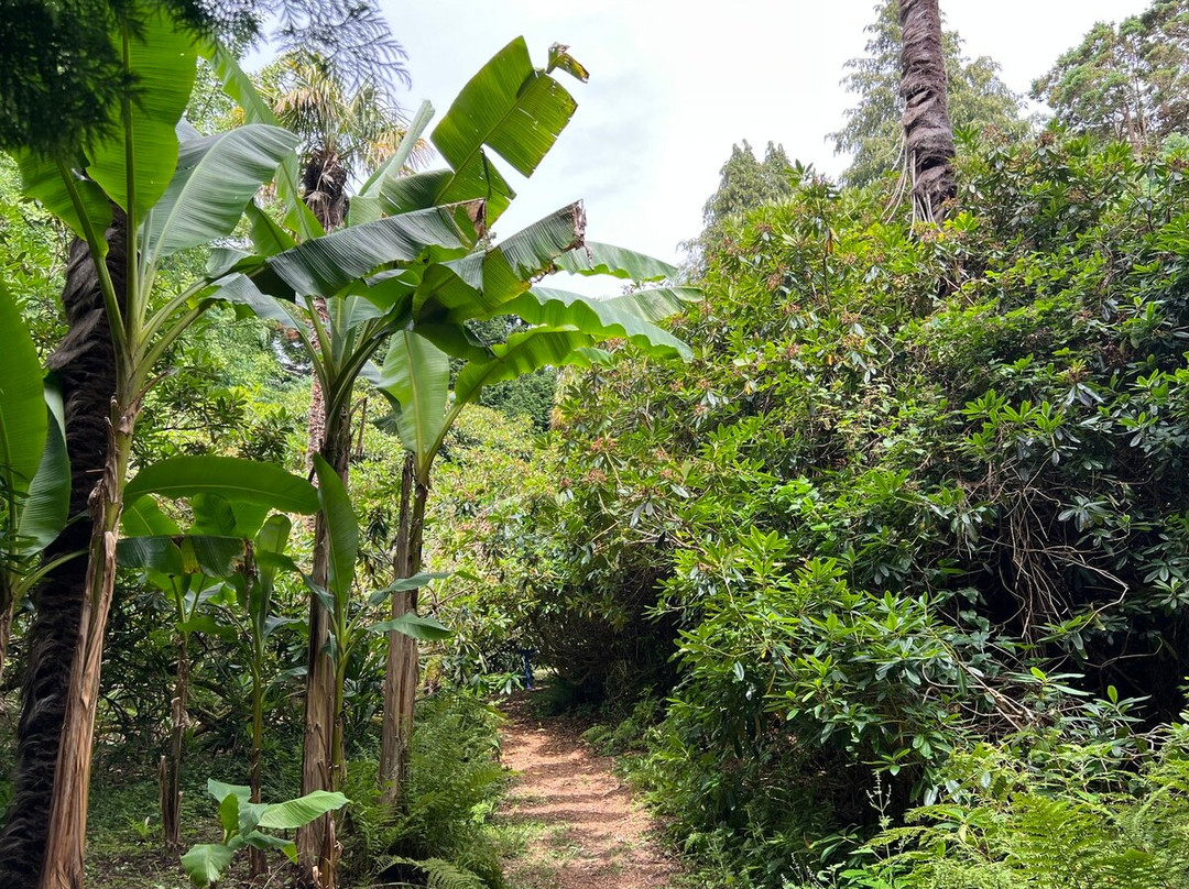 L'Épopée des Sens - Château de Martinvast-Martinvast必去景点