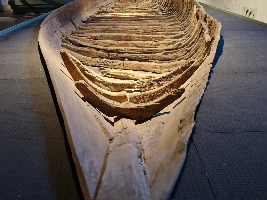 Cantiere Le Navi Antiche di Pisa-比萨必去景点