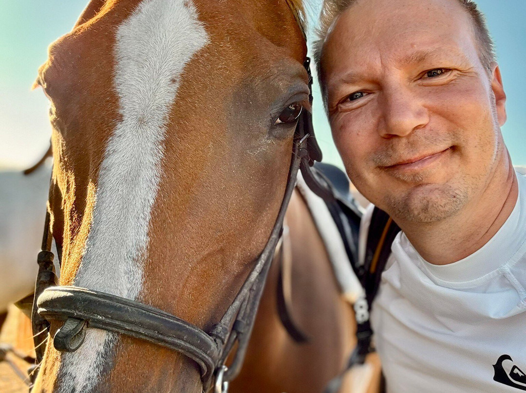 Happy Horses-扎金索斯必去景点