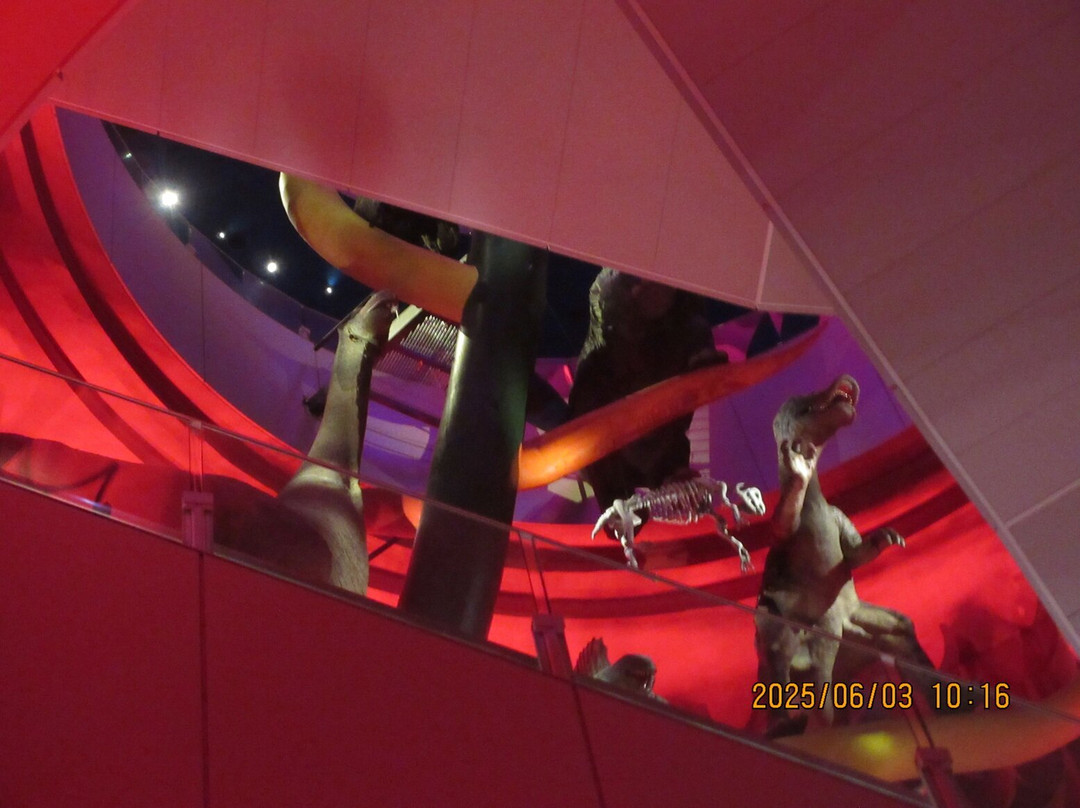 The Tower of the Sun-吹田市必去景点