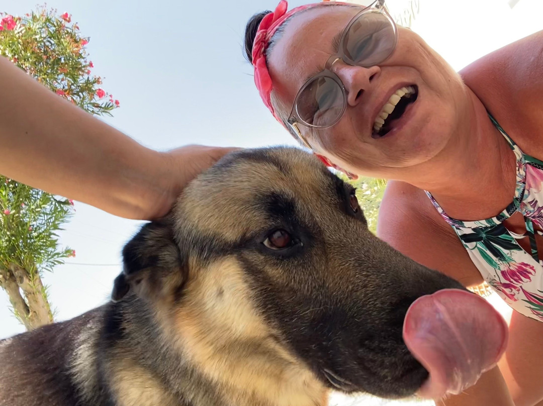 Idomeneas Apartments主图