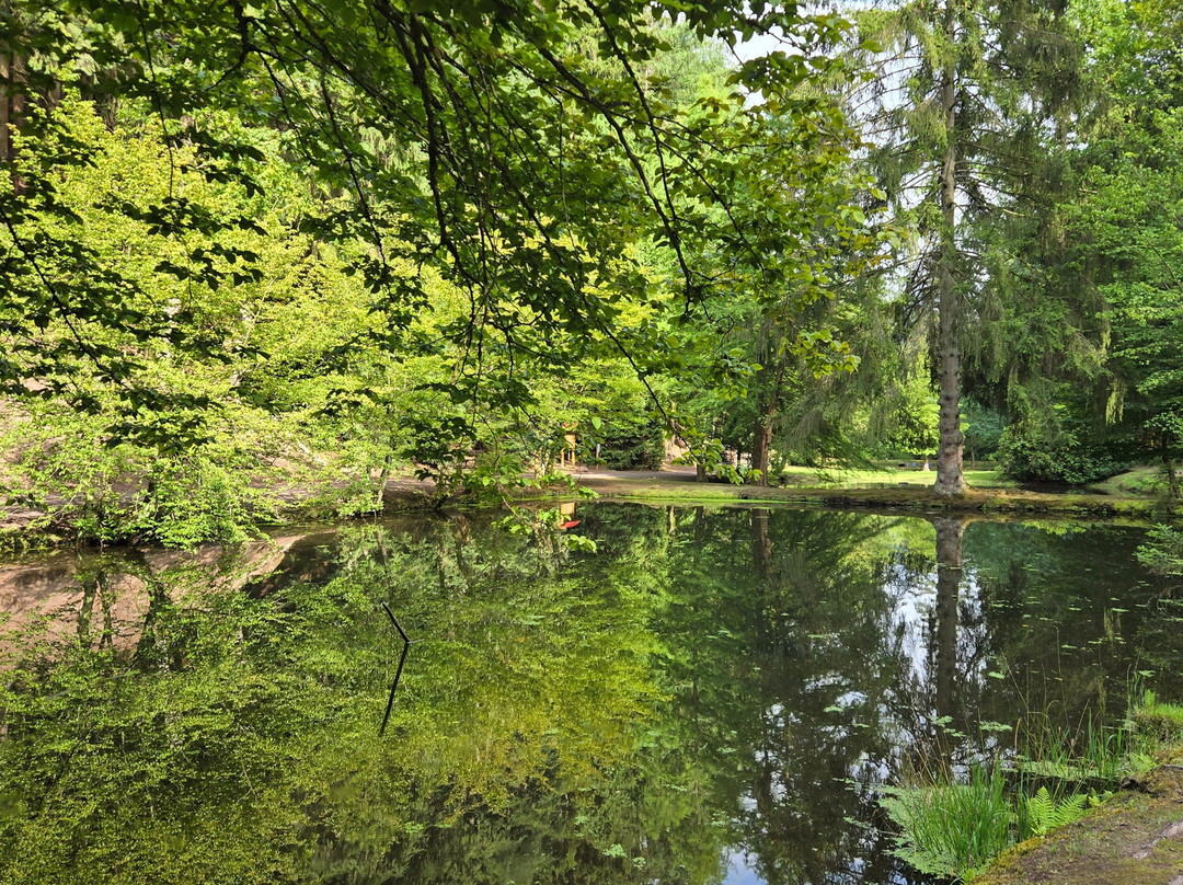 Kurpfalz-Park Wachenheim-Wachenheim an der Weinstrasse必去景点