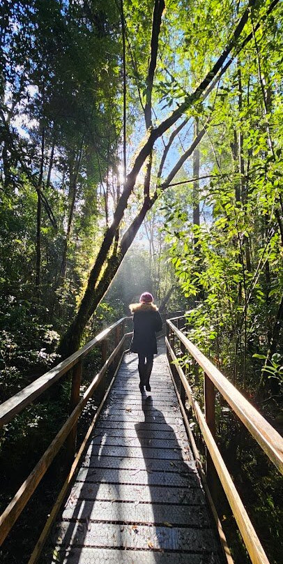 Monumento Natural Lahuen Nadi-蒙特港必去景点