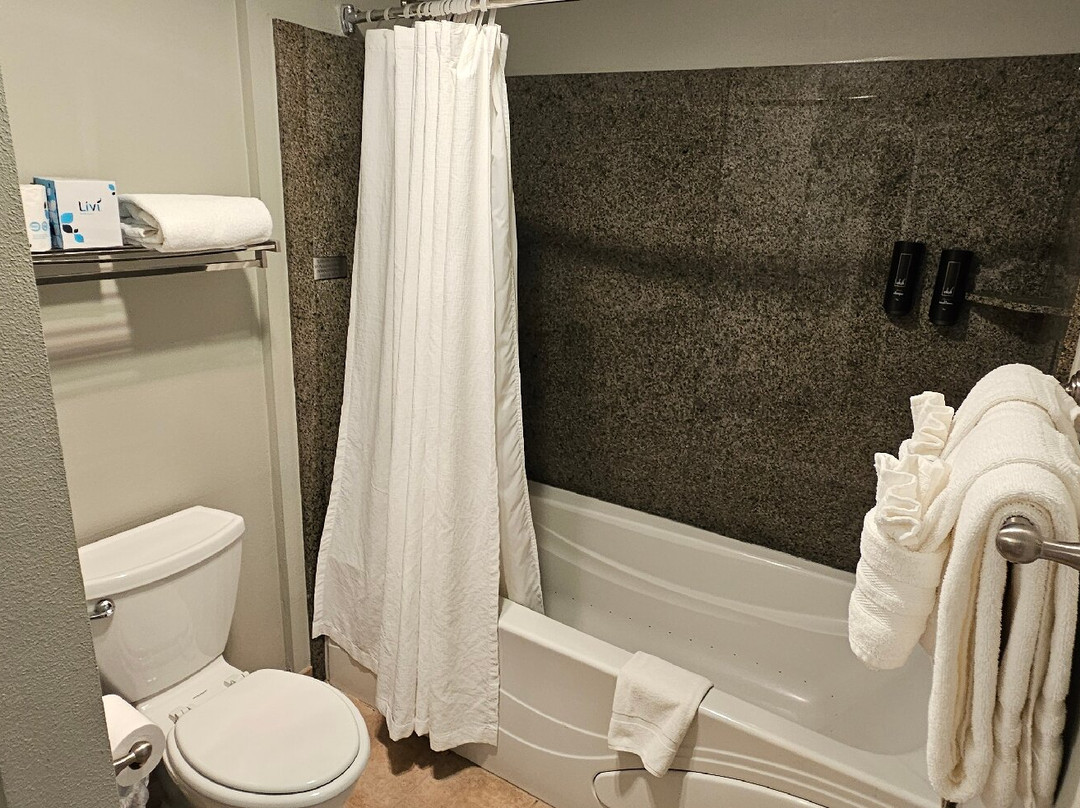 河流潮汐套房酒店主图