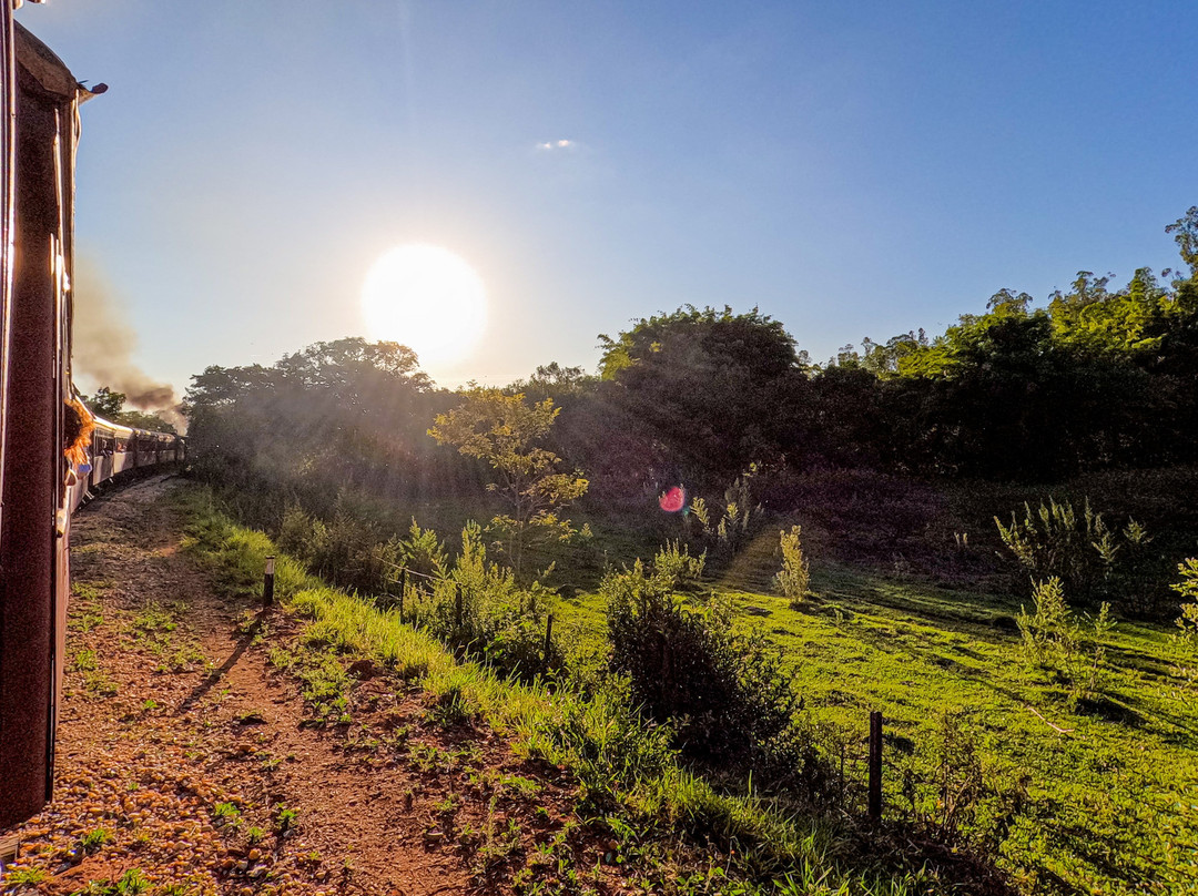 Smoking Mary Minas' Vintage Steam Trains-蒂拉登特斯必去景点