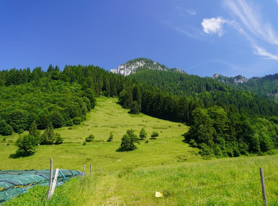 Laber-奥伯阿默高必去景点