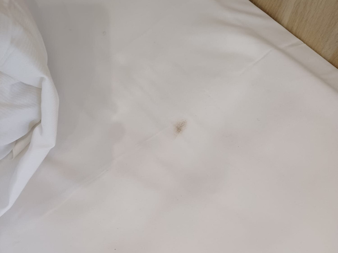 Taste Smart Hotel Backnang主图