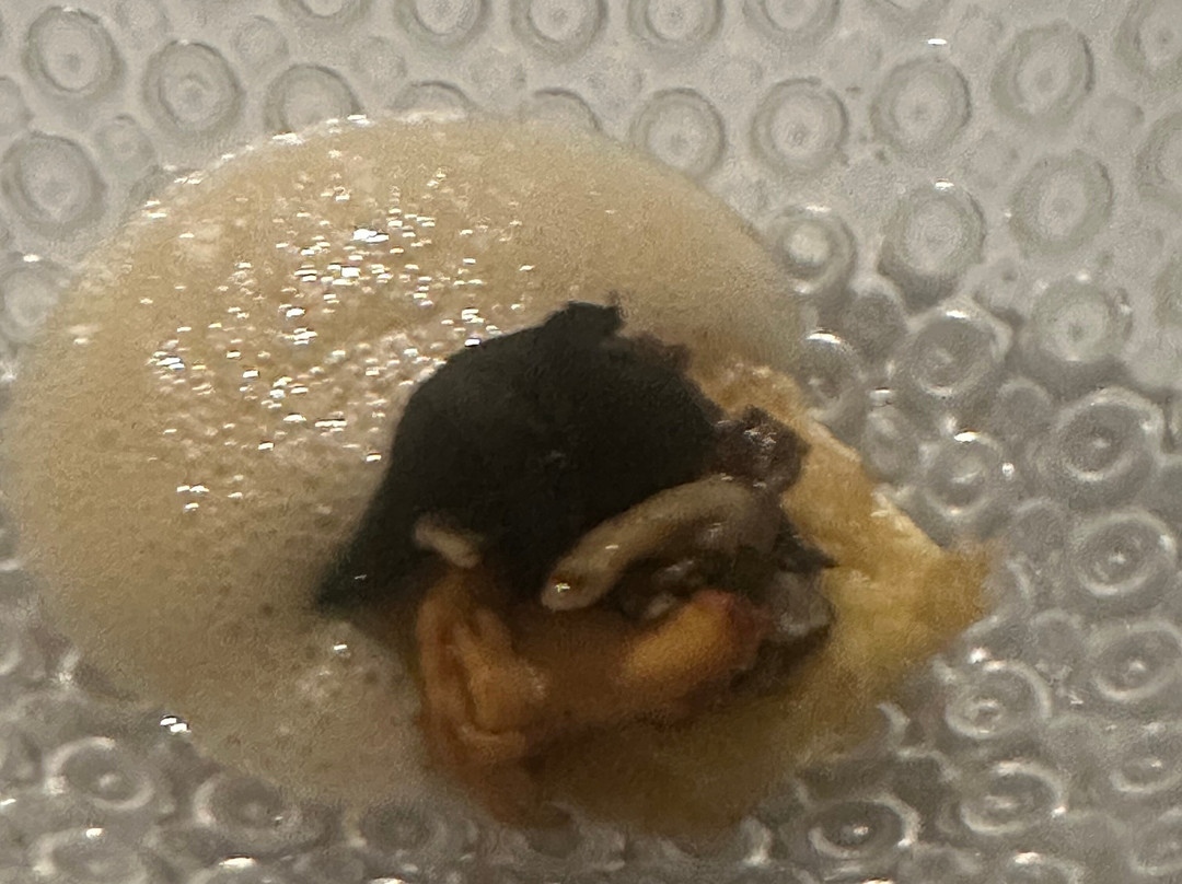 埃尔巴丹酒店主图