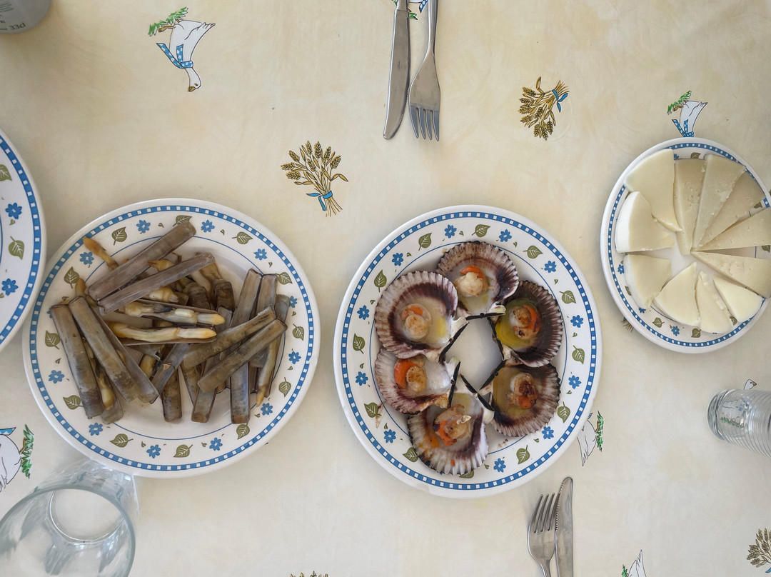 Benicarlo Central Market-Benicarlo必去景点