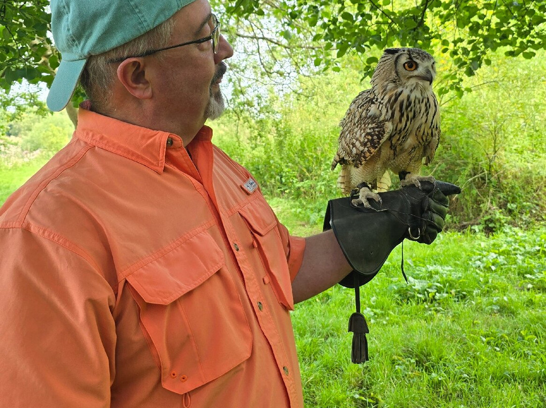 Elite Falconry-Kirkcaldy必去景点