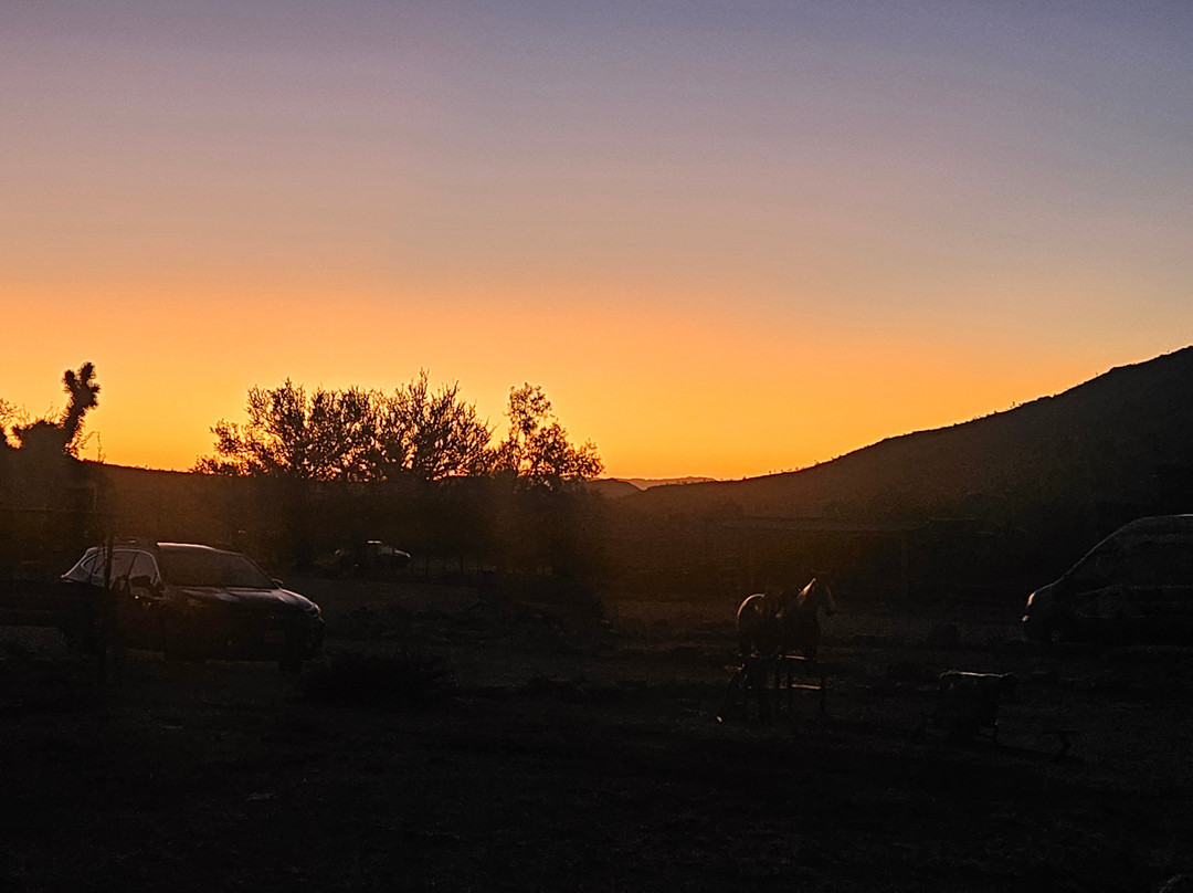 The Western Ranch Motor Inn