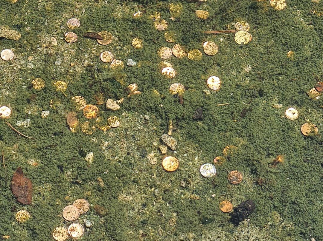 Kostenets Waterfall-Kostenets必去景点