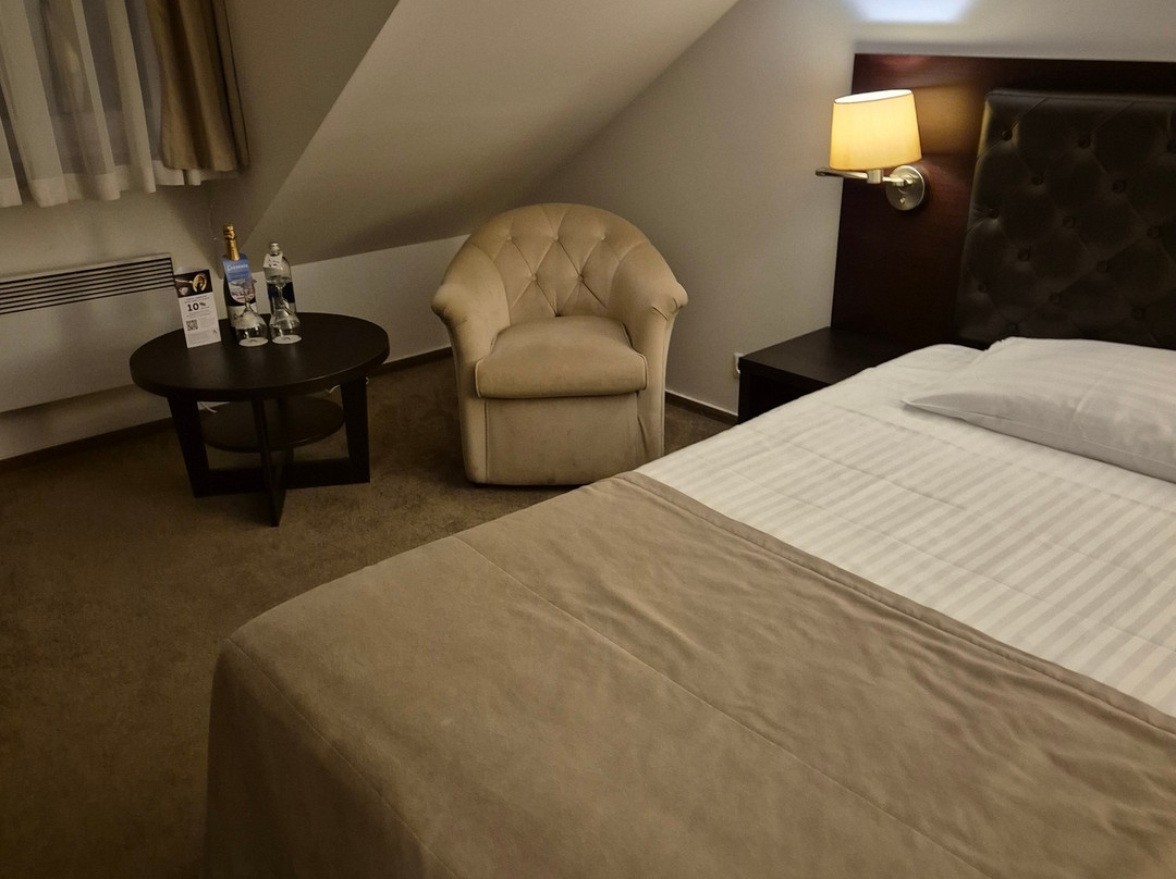 Amberton Cozy Hotel Kaunas主图