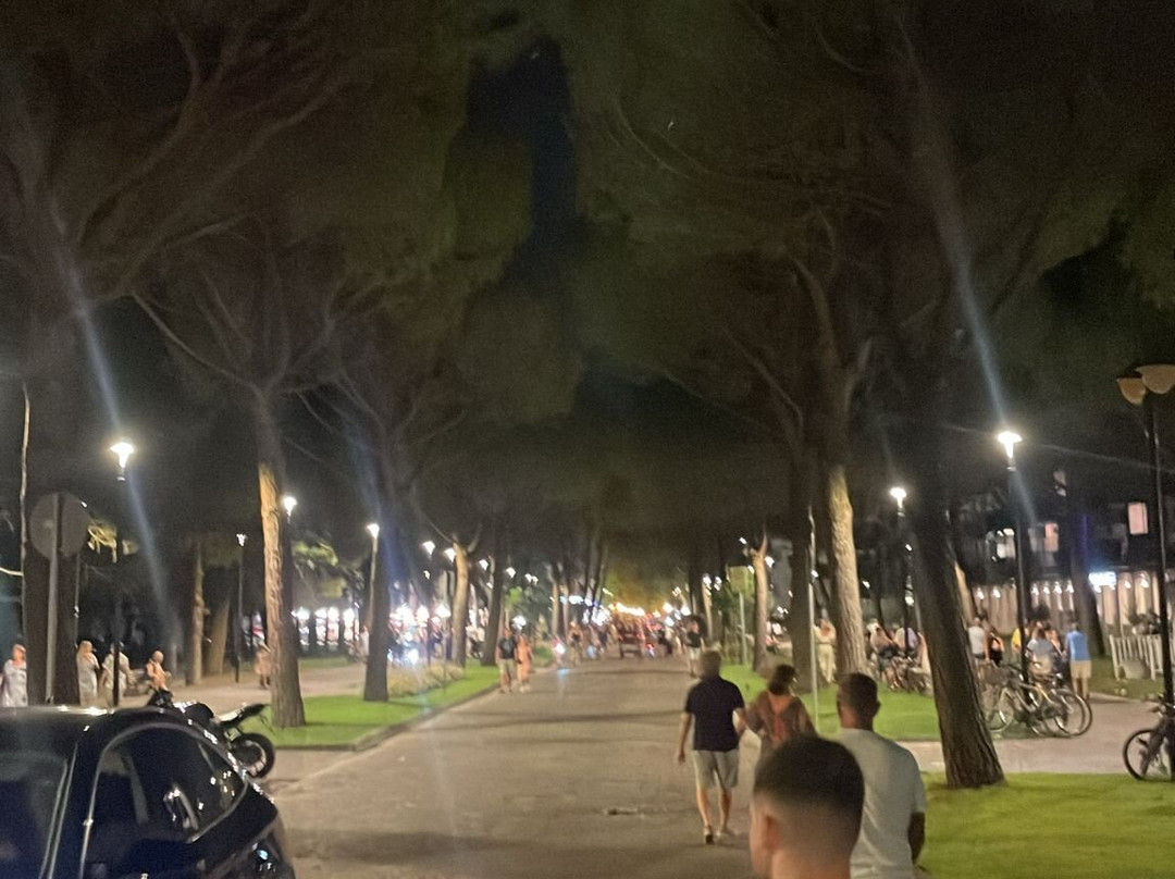 Bibione Spiaggia-Bibione必去景点