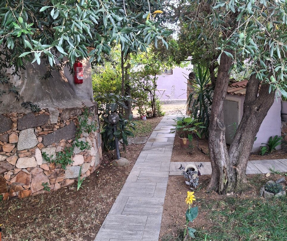 B&B Campu Moru主图