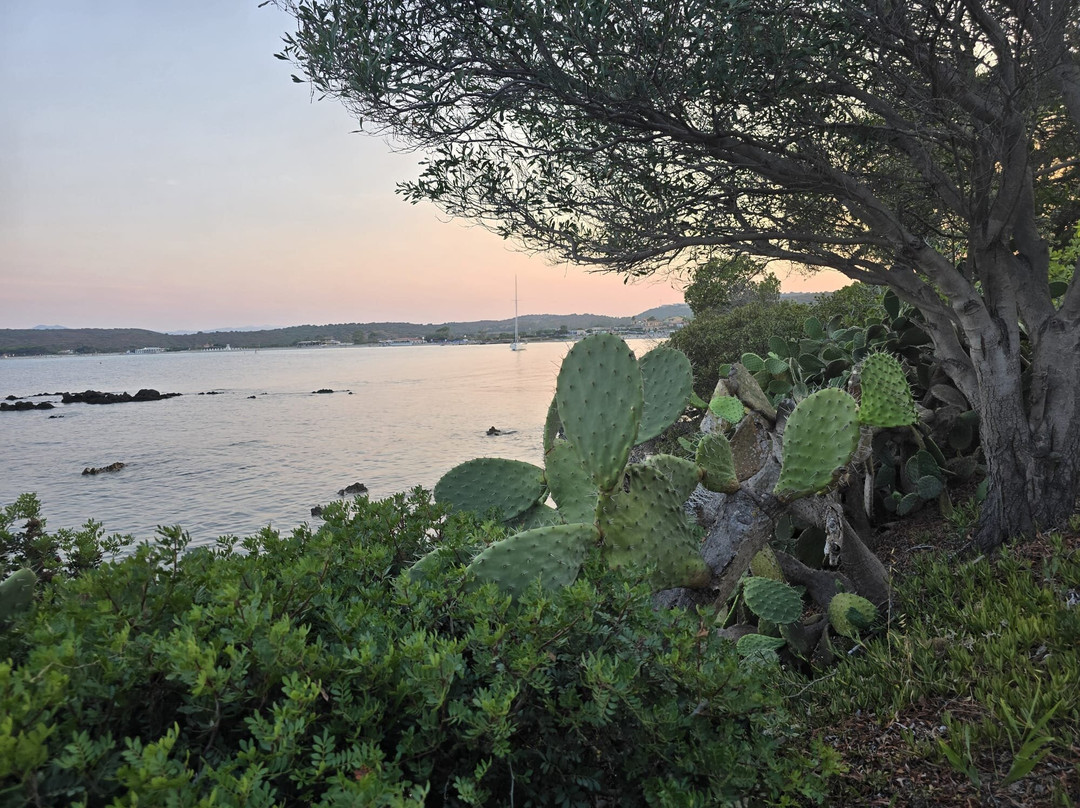 B&B Punta Sirenella主图