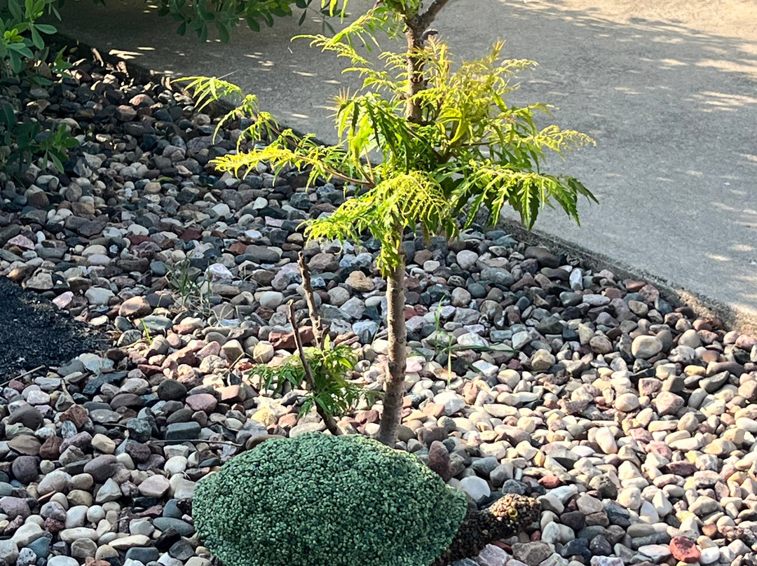 Scenic Shore Inn主图