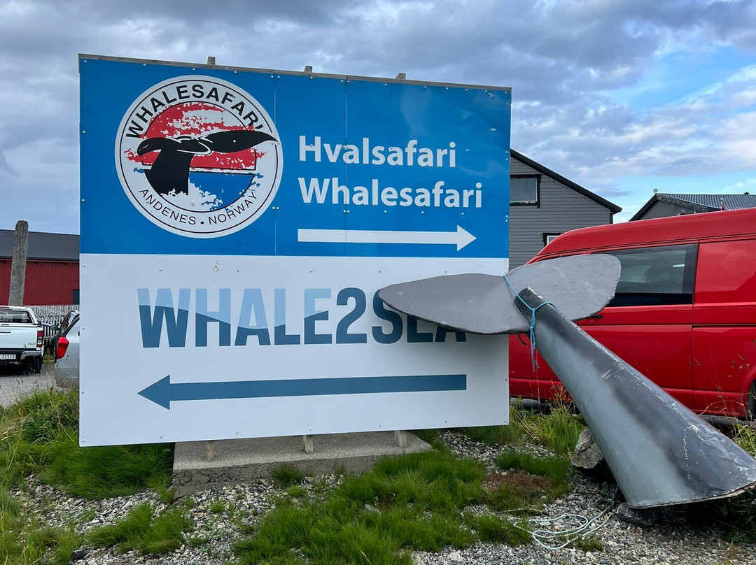 Whale2Sea-Andenes必去景点