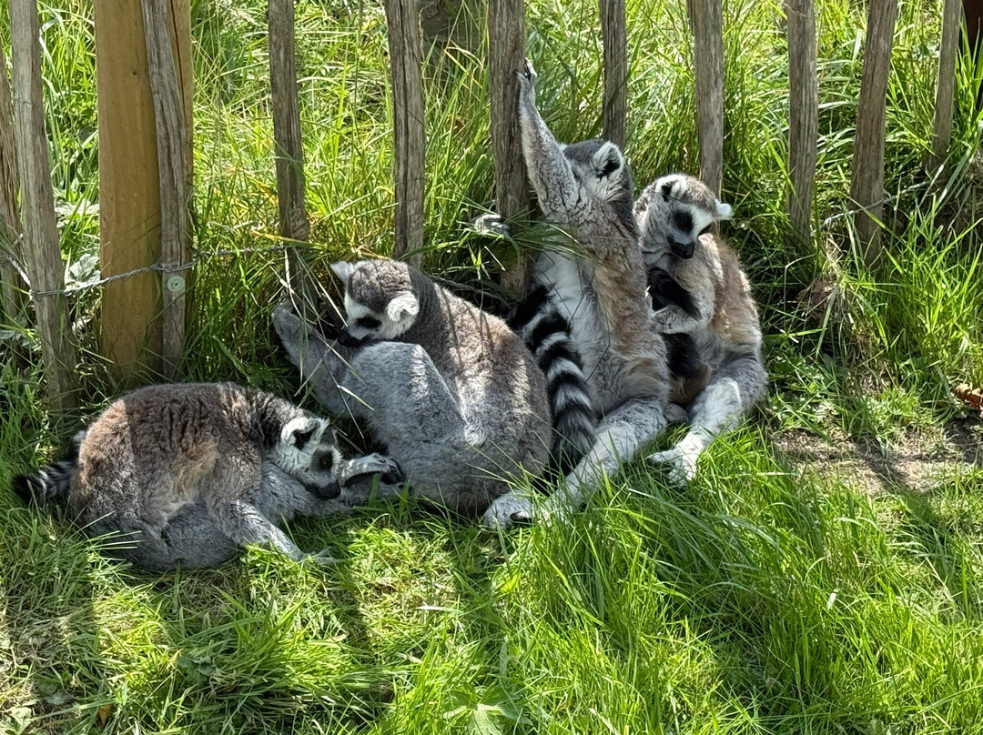 Peak Wildlife Park-Winkhill必去景点