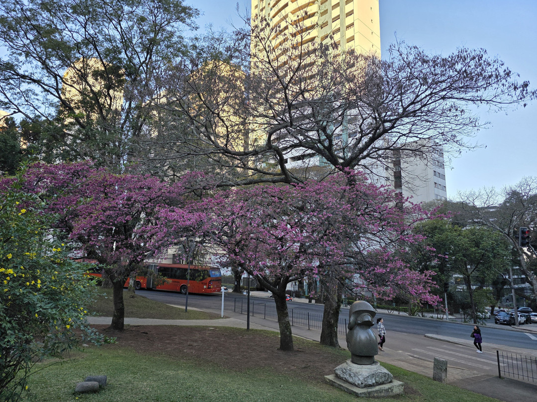 Japanese gardens-库里提巴必去景点