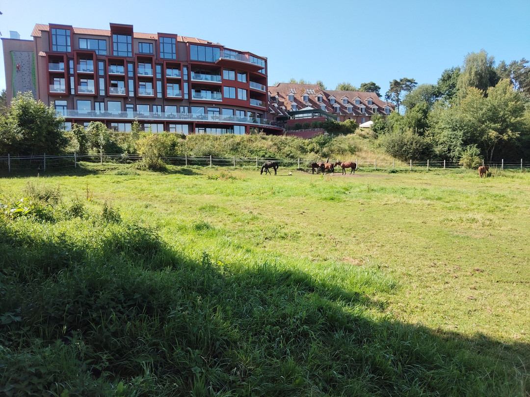 Hotel Bornmühle主图