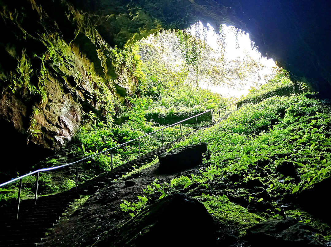 Dunmore Cave-基尔肯尼郡必去景点