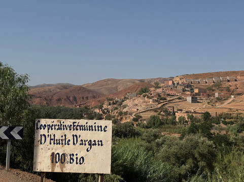 Safari Marrakech-马拉喀什必去景点