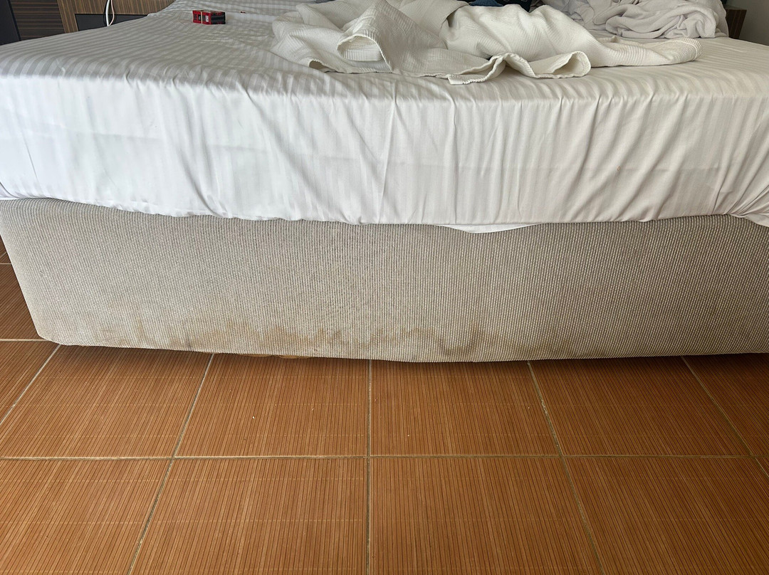 The One Club Hotel主图