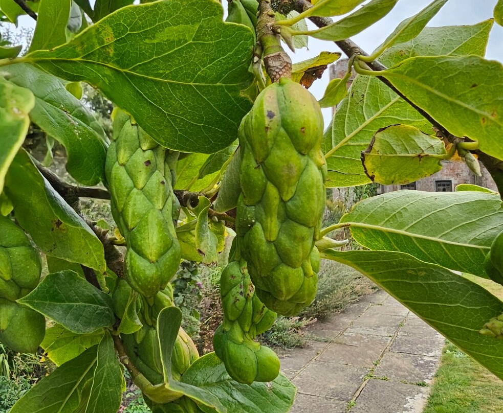 Herstmonceux Castle-Hailsham必去景点