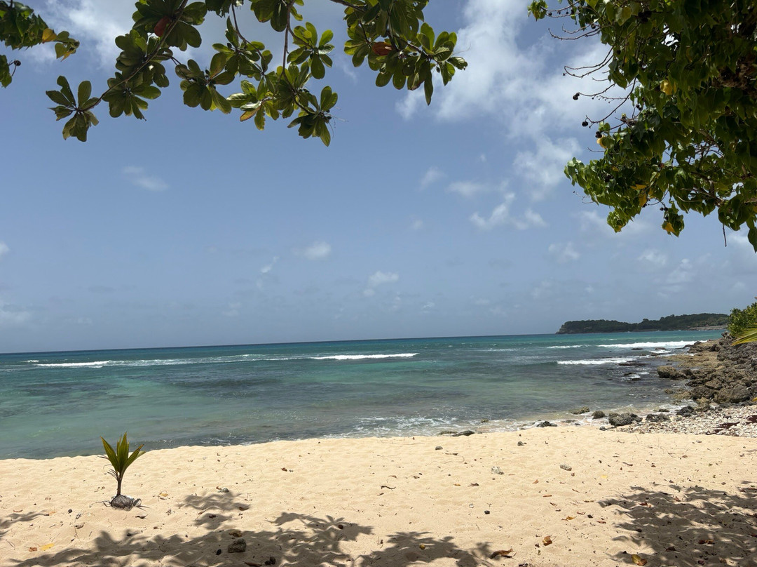 Plage De La Chapelle-Anse-Bertrand必去景点