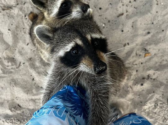 Oleta River Outdoor Center-北迈阿密海滩必去景点