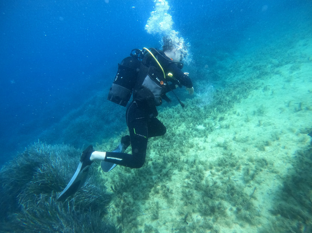 Gozo Dive-Xlendi必去景点